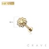 14Kt GOLD THREADLESS (PUSH IN) FLOWER TOP LABRET SET